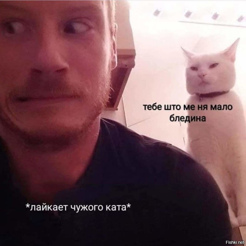 Прикольные и смешные картинки