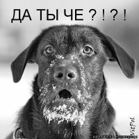 Ну и как нам с этим дальше жить?!!!
