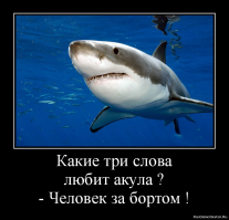 "Челюсти" в реальной жизни: огромная акула шокировала рыбаков в США