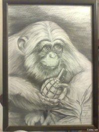 Эмоции обезьян в фотографиях