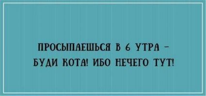 Мой кот в 4.30 просыпается.Как по будильнику.Я его не пускаю ночью в спальню.В 4.30 начинает ломится.С такой силой,что создаётся впечатление что он с разбегу головой в дверь бьётся