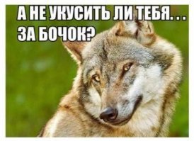 Койот напал на ребёнка во дворе дома в США
