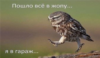 Картинки с надписями