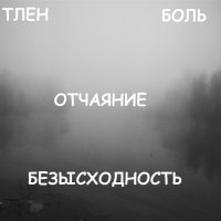 Новгородская область. Усадьба Заветное - остатки "малого Версаля" посреди леса