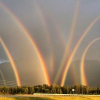 25 исторических фото, на которых просто прорва чего-то