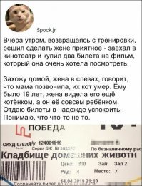 Бл, вот я думал только у меня совпадение. Сходили на это же кино, на следующей неделе пришлось кошку усыпить.