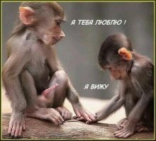 Картинки с надписями