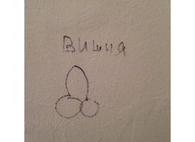 Скрины из социальных сетей