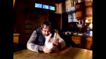 Модест любит куриные кубики?