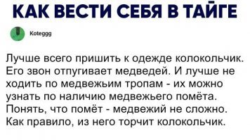 На самом деле, надо просто дать медведю: балалайку, водку и велосипед. И он тут же удалится под матерные частушки)))