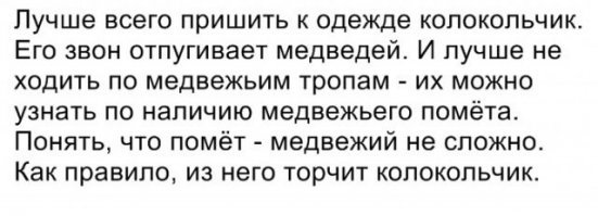 Туристы против медведей: как выжить в русском лесу?