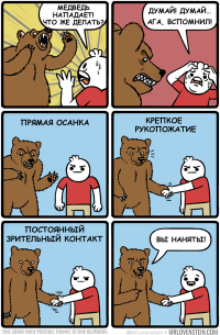 Туристы против медведей: как выжить в русском лесу?