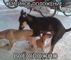 Женские откровения. Почему жёны отказывают своим мужьям в постели