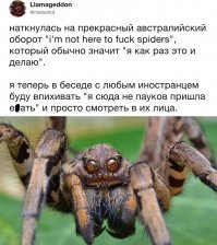 Скрины из социальных сетей