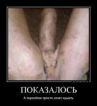 20 фото, на которые придется взглянуть дважды, а на некоторые - трижды