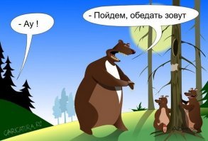 Туристы против медведей: как выжить в русском лесу?