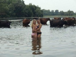 Сколько тёлок на этой фотке? :)