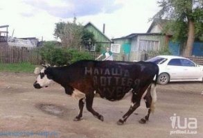 Куда там надписям на асфальте