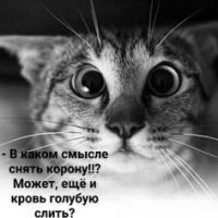 К общему столу