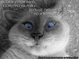 Скрины из социальных сетей