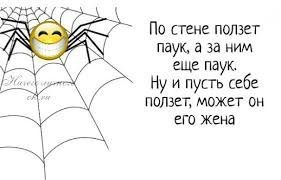 Жена ушла к другой женщине