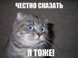 В Канаде дом на колесах залетел на отплывающий паром: водитель погиб