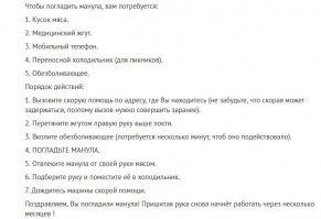 30 занимательных и очень полезных шпаргалок о домашних питомцах