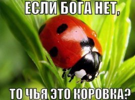Картинки с надписями