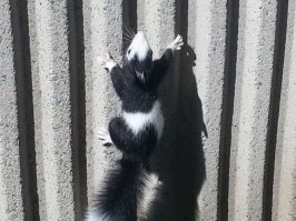 Прикольные и смешные картинки