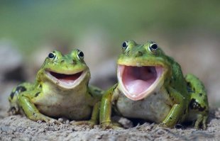 Кубертатный период сруколой хочет пазна комиссия и стать кондиционером