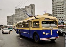 пока не изобретут - аккумулятор (масса-заряд), из электрокаров будут преобладать... и им подобные .....