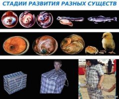 На Парижской неделе моды представлена мужская коллекция. Там есть юбки, платья, мячи и сумка-такса