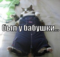 Таким меня видят родители, когда я от бабушки приезжаю.