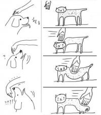 30 занимательных и очень полезных шпаргалок о домашних питомцах