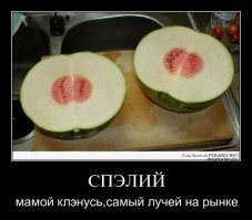 Прикольные и смешные картинки