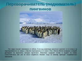 Необычные профессии, за которые платят приличную зарплату 