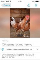 Это не Одесса)))