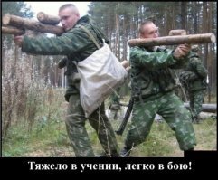 Побег плюшевого льва вызвал недоумение у обитателей японского зоопарка