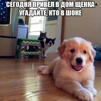 Прикольные и смешные картинки