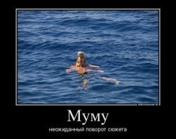 Прикольные и смешные картинки