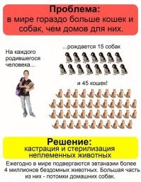 Эвтана зия (от греч. εὖ   хорошо + θάνᾰτος   смерть)   практика прекращения жизни человека, страдающего неизлечимым заболеванием и испытывающего вследствие этого заболевания невыносимые страдания, по его просьбе. А 4 миллиона в год - это убийства.