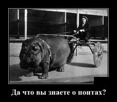 «Взять на понт»: как появилось это выражение на самом деле