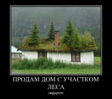 Домики с заросшей крышей, в которых хочется поселиться
