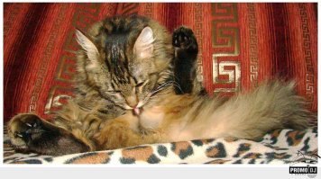 В задачах (для точности решения) всегда предусмотрено, что а/м двигается с постоянной скоростью все отведенное для этой скорости время. Т.е. если написано "Первые 30 минут она двигалась со скоростью 60км/ч", то это (для расчетов) значит, что а/м двигалась со скоростью 60 км/ч с первой и до последней секунды.
Вот когда ты и твоя машина так сможете - валяйте решать подобные задачки натурным способом
А в данном случае применима поговорка: "Когда коту некуй делать - он лижет себе яйца"