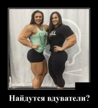 Работал в зале, как проклятый. Приобрёл шикарные мышцы - девки сами с двух сторон вешаются. А толку-то, члена всё равно нет.