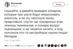 Пять этапов жизни комара: от яйца до зимовки в щелях