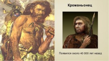По поводу черепов, зубов и когтей - всё рисуют по мере сил и возможностей.