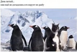 20 забавных гениев маскировки, которым позавидует любой шпион