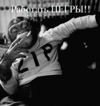 Прикольные и смешные картинки