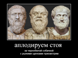 15+ фото, которые были бы не такими интересными без искрометных комментариев